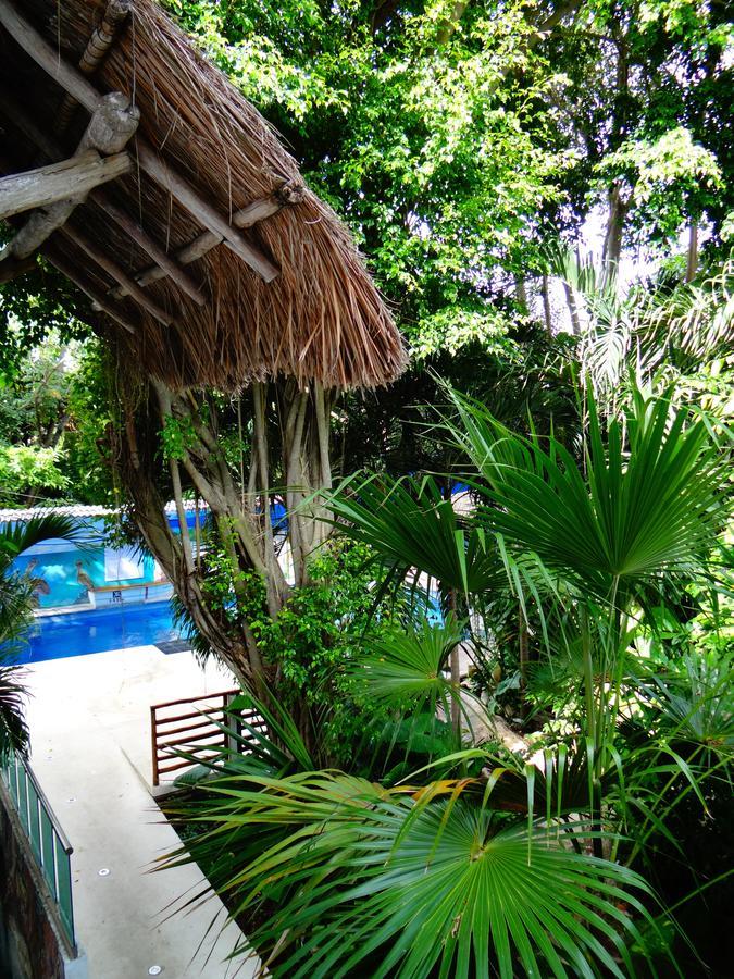 Casa Tucan Hotel 신데 델 카르멘 외부 사진