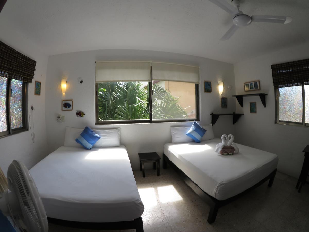 Casa Tucan Hotel 신데 델 카르멘 외부 사진