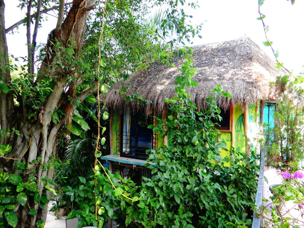 Casa Tucan Hotel 신데 델 카르멘 외부 사진