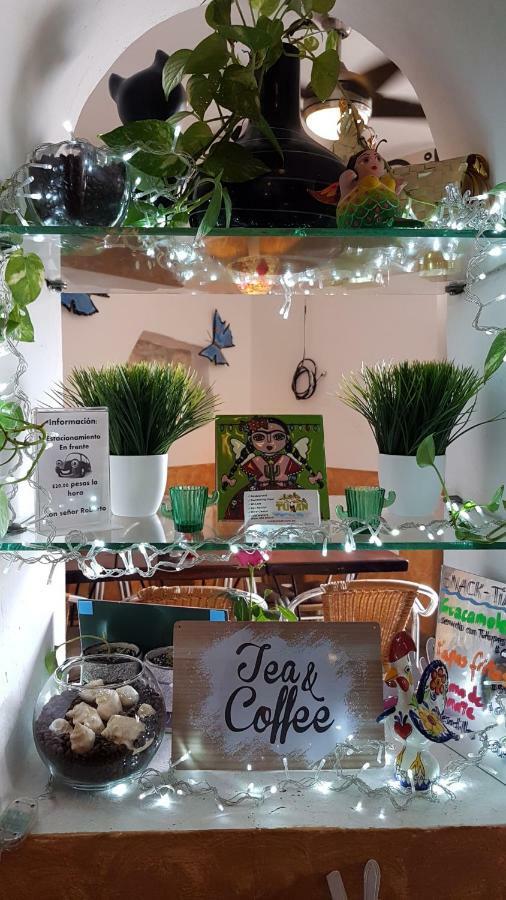 Casa Tucan Hotel 신데 델 카르멘 외부 사진